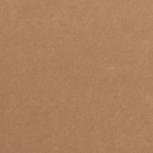 Copper - Old Coin - Grain Hammered