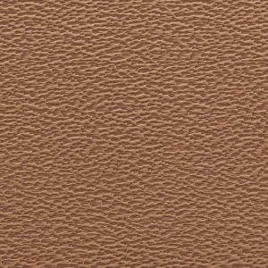 Copper - Old Coin - Hood Hammered