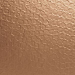 Copper - Old Coin - Light Hammered