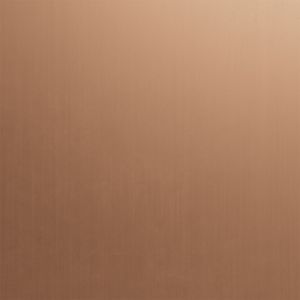 Copper - Old Coin - Smooth